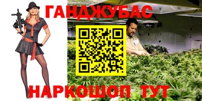 мдпв Абакан