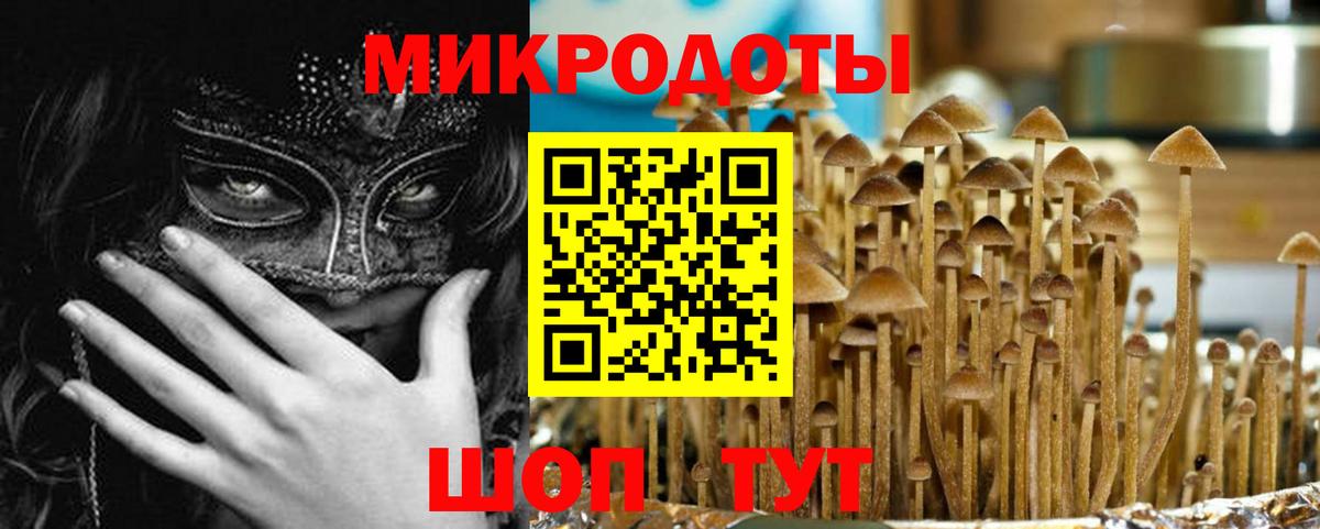 Галлюциногенные грибы GOLDEN TEACHER  Вход с VPN  Алатырь 