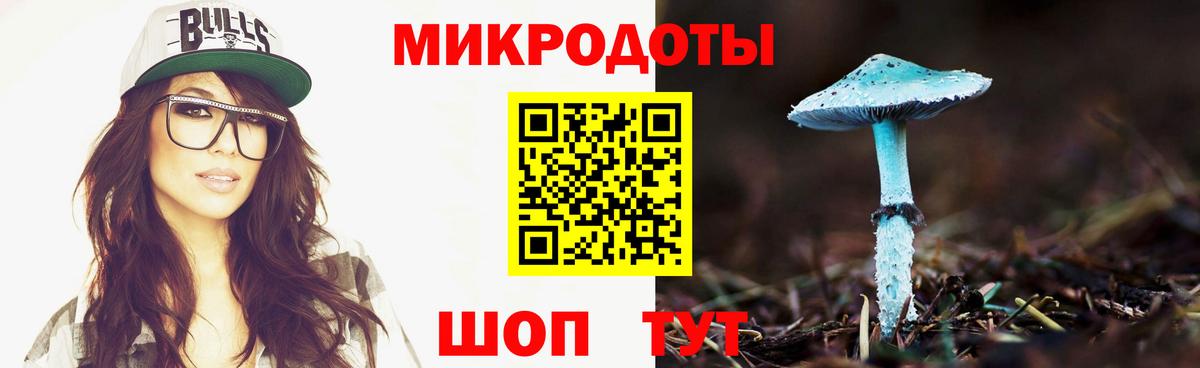 Галлюциногенные грибы Psilocybine cubensis Алатырь